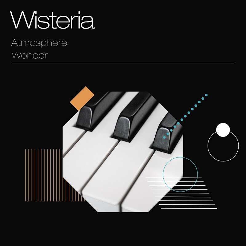 Wisteria Atmosphere Wonder