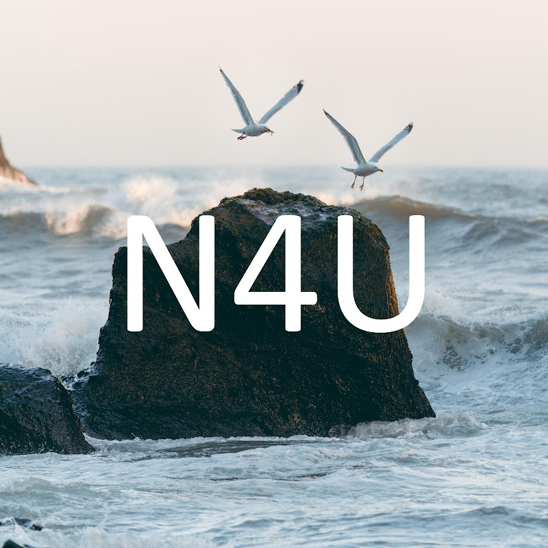 N4u
