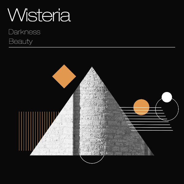 Wisteria Darkness Beauty