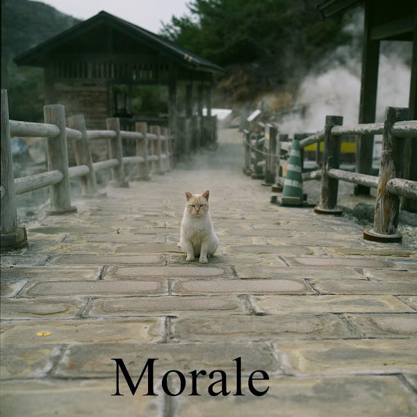 Morale