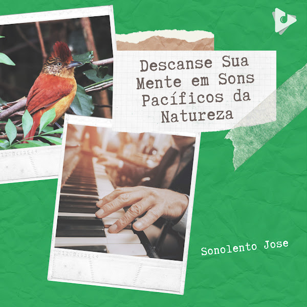 Descanse Sua Mente em Sons Pacíficos da Natureza
