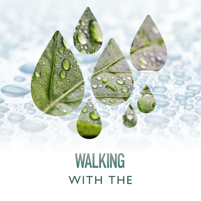 Walking With The Stars