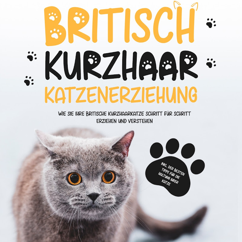 Britisch Kurzhaar Katzenerziehung: Wie Sie Ihre britische Kurzhaarkatze Schritt für Schritt erziehen und verstehen - Inkl. Der besten Tipps für die Haltung Ihrer Katze
