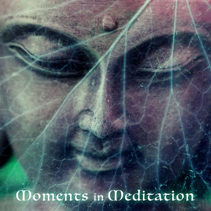 Moments in Meditation
