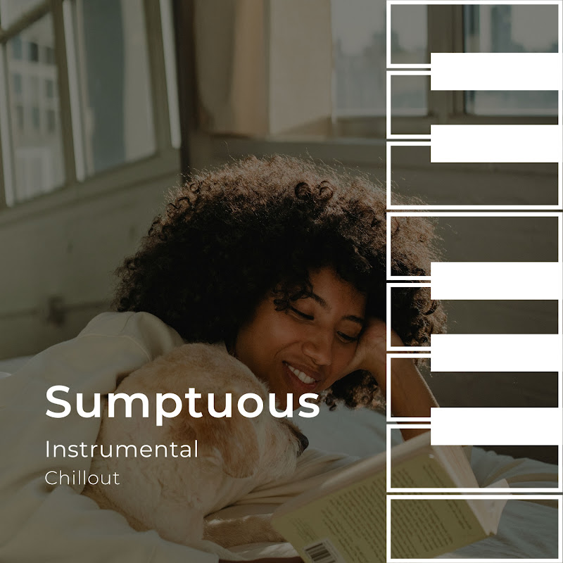zZz Sumptuous Instrumental Chillout zZz