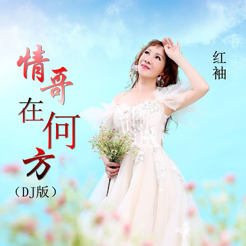 你别出现在我的梦里 (抖音DJ版)