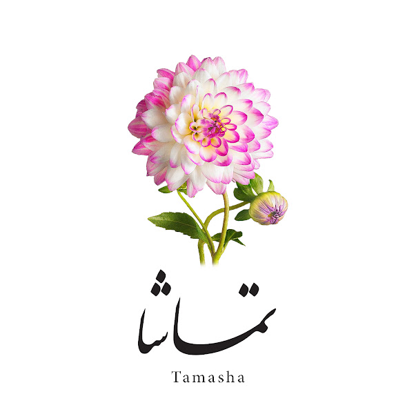 Tamasha