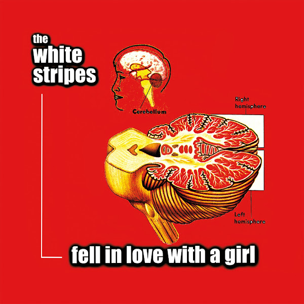 Fell In Love With A Girl