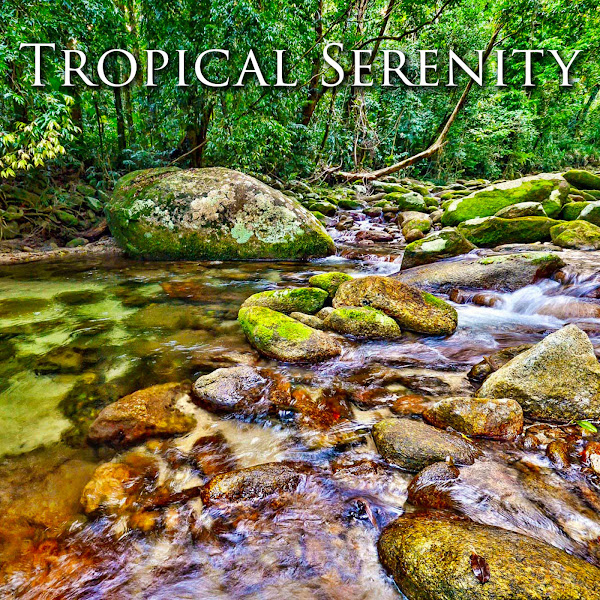 Tropical Serenity