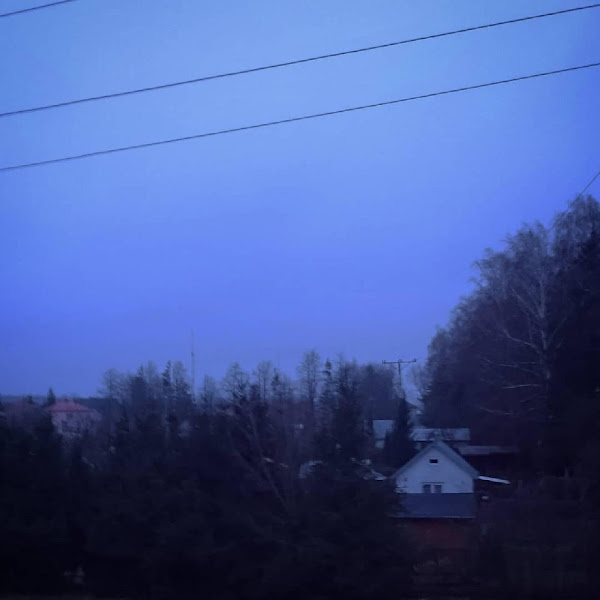 I Was Sitting on a Roof, Looking at the Tops of Trees Covered With Snow