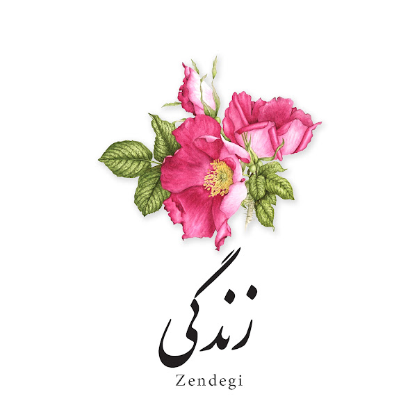 Zendegi