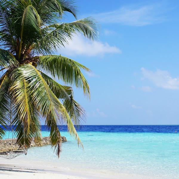 40 Beautiful Melodies for Deep Relaxation
