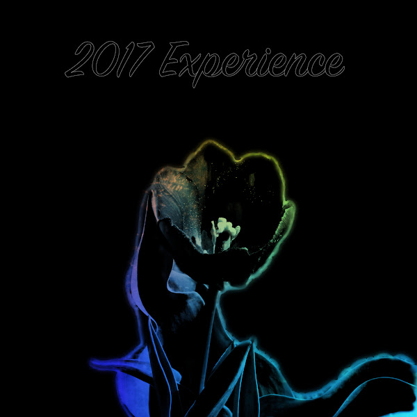 2017 Experience