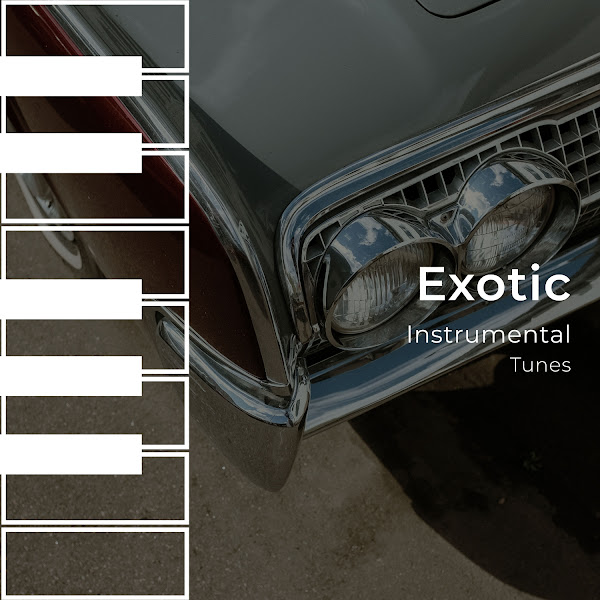 zZz Exotic Instrumental Tunes zZz