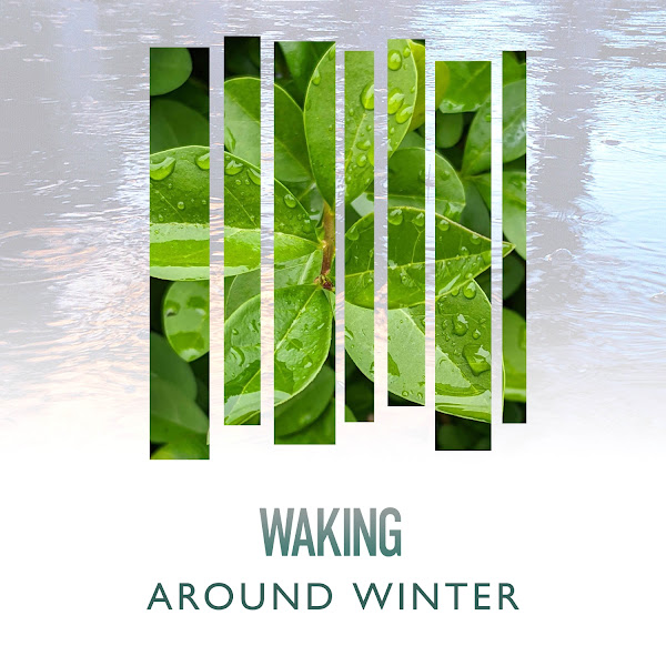 Waking Around Winter Rain