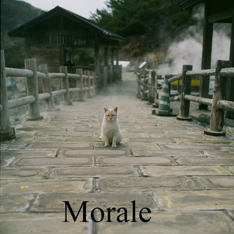 Morale