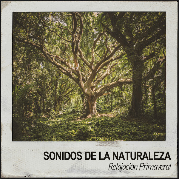 Sonidos de la Naturaleza: Relajación Primaveral