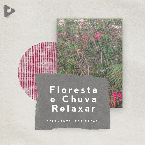 Floresta e Chuva Relaxar