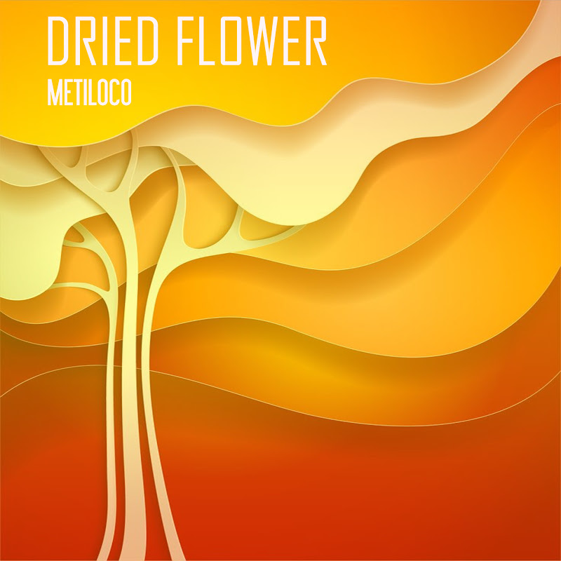 Metiloco