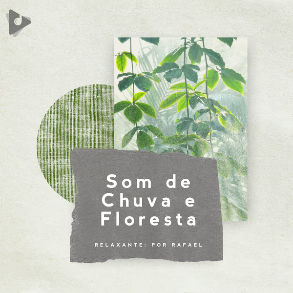 Som de Chuva e Floresta