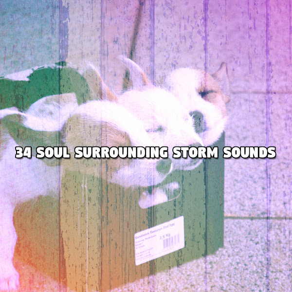 34 Soul Surrounding Storm Sounds