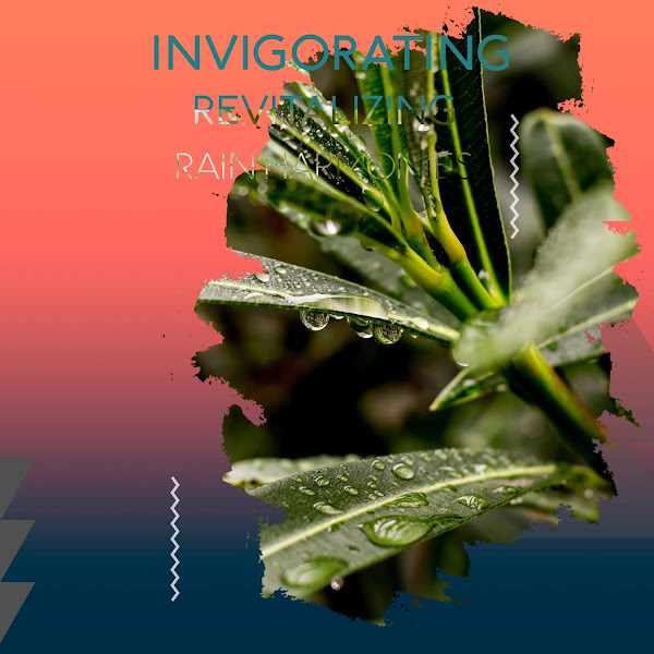 zZz Invigorating Revitalizing Rain Harmonies zZz