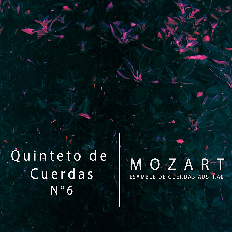 Quinteto de Cuerdas No. 6, Mozart