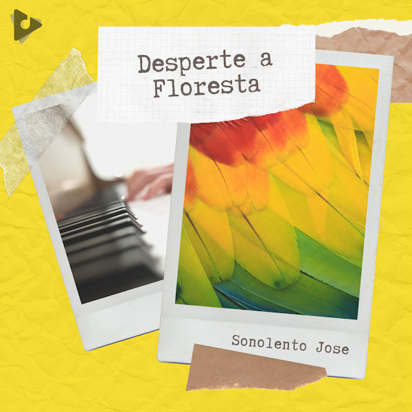 Desperte a Floresta