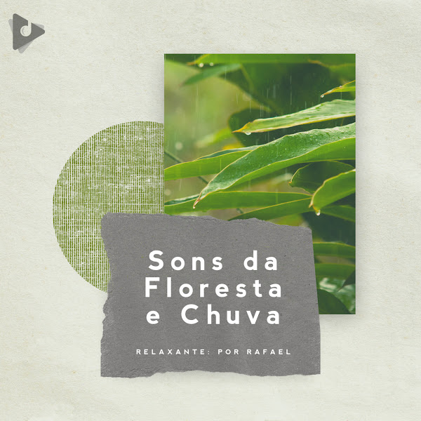 Sons da Floresta e Chuva