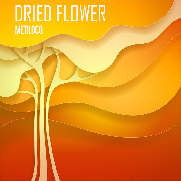 Metiloco