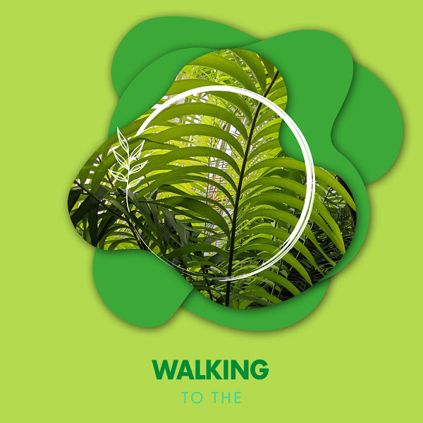 Walking to the Pathways