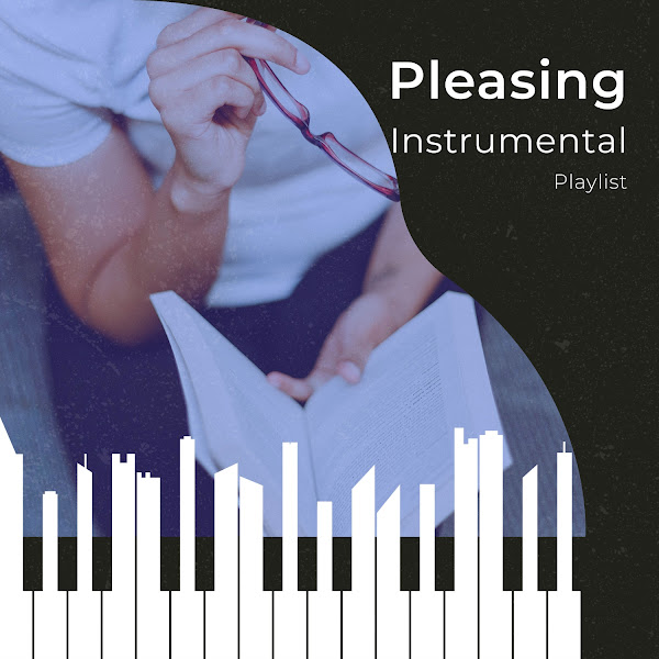 zZz Pleasing Instrumental Playlist zZz