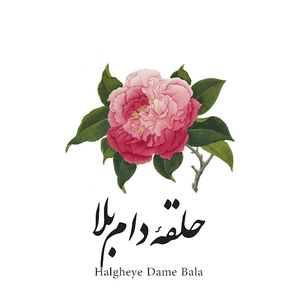 Halgheye Dame Bala