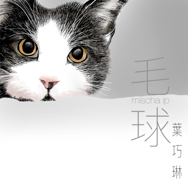Mao Qiu
