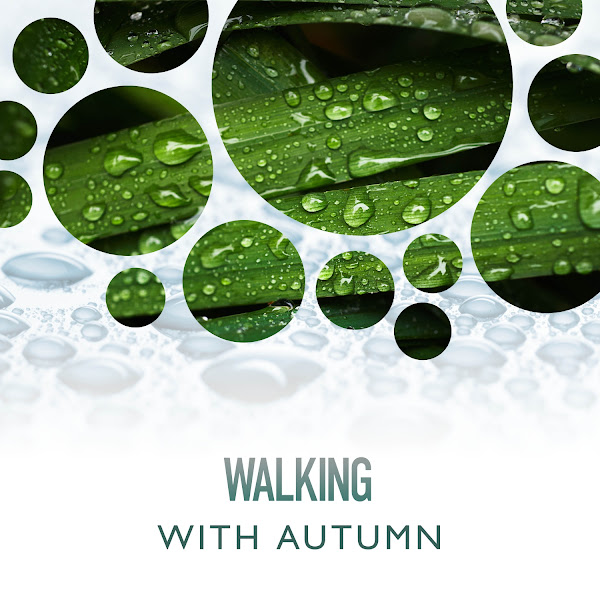 Walking With Autumn Rain