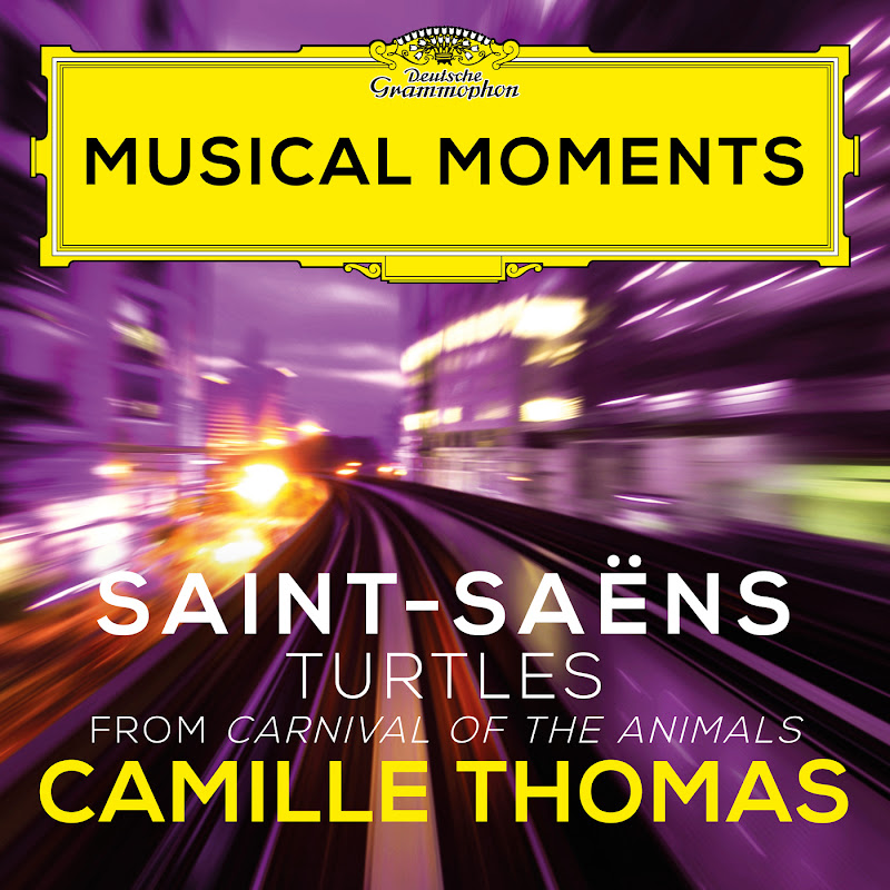 Saint-Saëns: Carnival of the Animals, R. 125: 4. Turtles (Musical Moments)